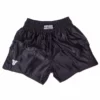 Fighter Thai Trunks Bangkok Plain - Black, FP04 APPAREL