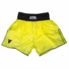 Fighter Thai Shorts Bangkok Plain - Neon Yellow/black, FP08 APPAREL