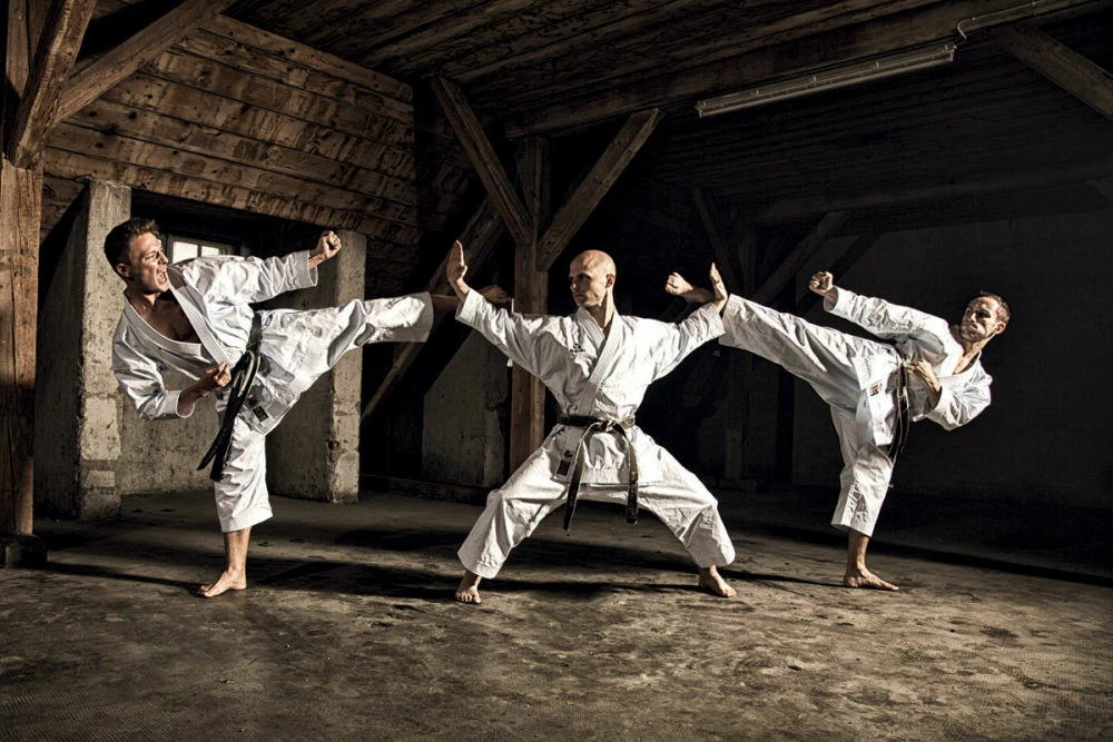 Hayashi WKF Karate-Gi TENNO II - Premium, 0491-1 4 Hayashi WKF Karate-Gi TENNO II - Premium, 0491-1