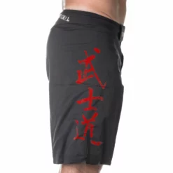 TopTen MMA OFFERS Top Ten MMA Dragon Shorts - Black/red, 1883-4