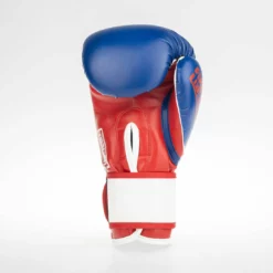 Fighter Boxing Gloves SPEED - Tricolor